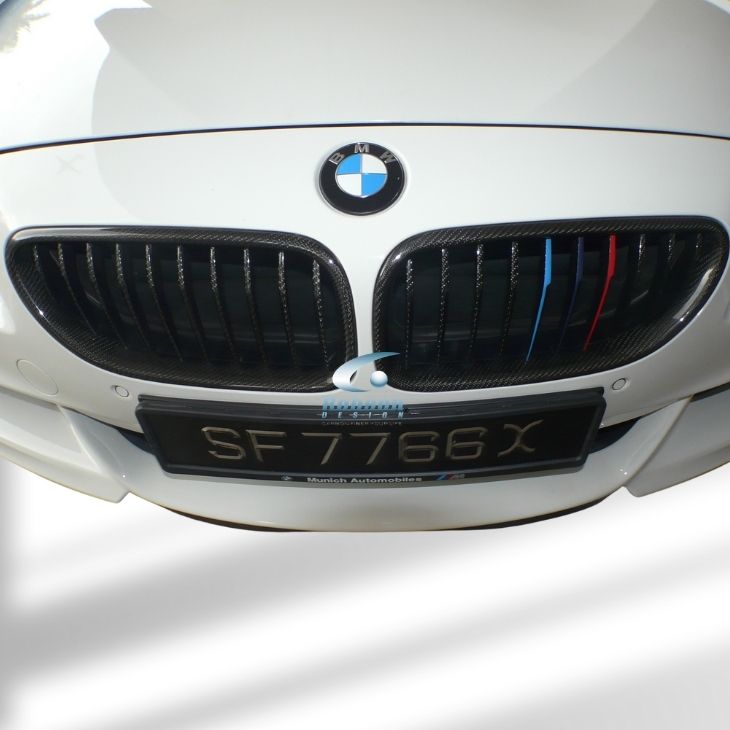BMW F12 6 Series F13 F06 Genuine Carbon Fiber Front Grill 2012-2017 (core exchange required) - Image 2